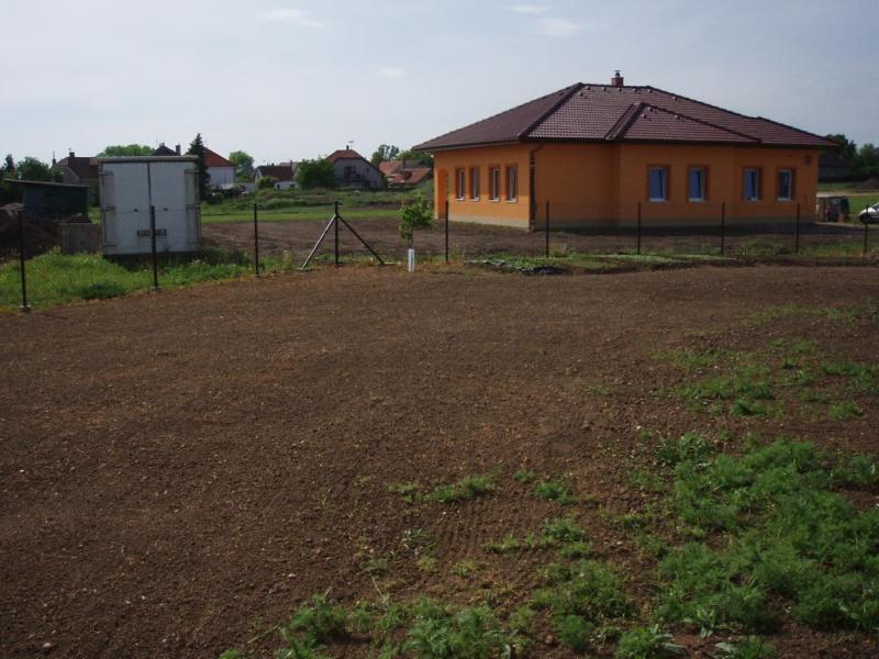 297 Trávník.jpg