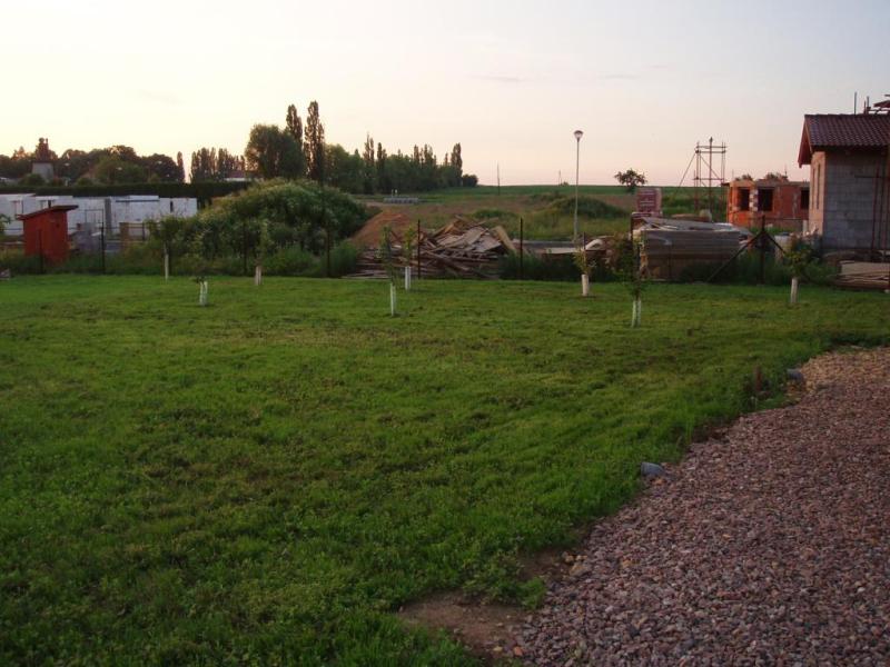 305 Trávník.jpg