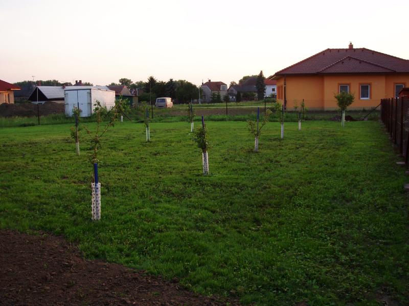 325 Trávník.jpg
